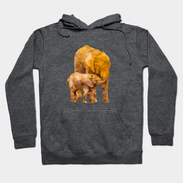 Mother Elephant and her Baby. Again! Hoodie by Custom Autos